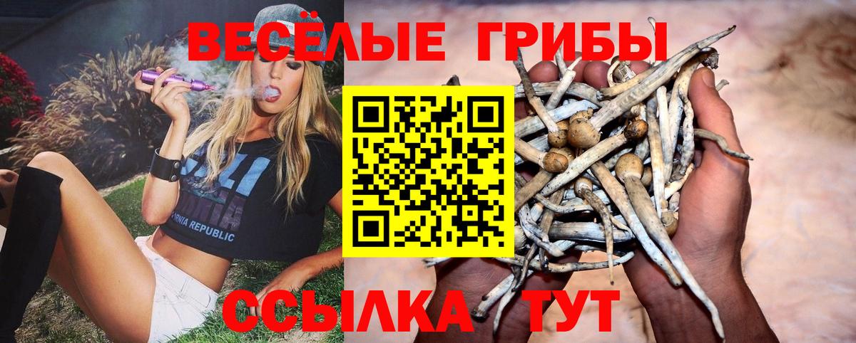Галлюциногенные грибы ЛСД  Вход с VPN  Семилуки 
