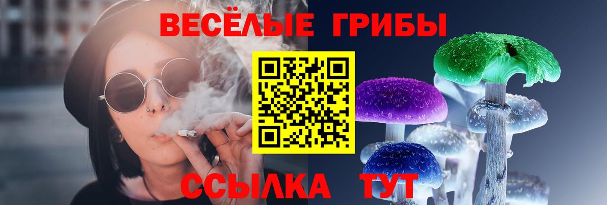 Галлюциногенные грибы Psilocybine cubensis Семилуки